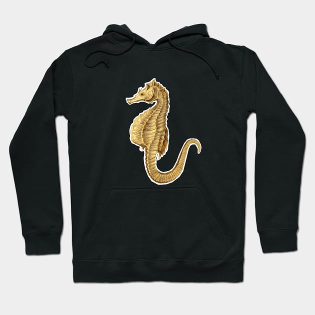 Hippocampus seahorse Hoodie by Marccelus